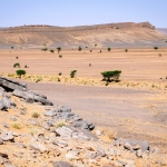 Désert Maroc