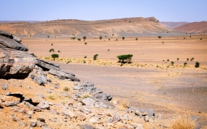 Désert Maroc