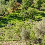 Morocco Tizi n'TRail 2016 - Go2events