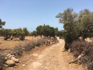 Morocco Tizi N'Trail 2018 -Essaouira - GO2EVENTS