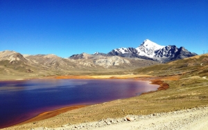 Boliviana - GO2EVENTS (124)