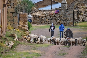 Raid multisports - La Boliviana