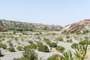 Transmarocaine Tizi N'Trail 2019