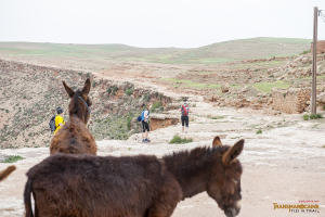 Transmarocaine Tizi N'Trail 2019