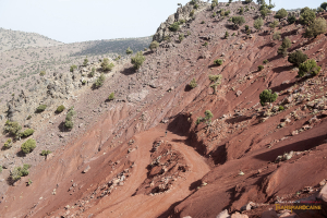 Transmarocaine Tizi N'Trail 2019