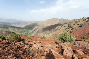 Transmarocaine Tizi N'Trail 2019