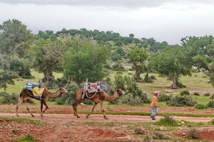 Transmarocaine Multisports 2018 - GO2EVENTS